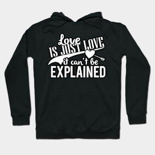 love is just love it can't be explained Hoodie